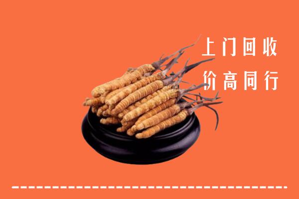 高价求购：昌吉州奇台回收散虫草
