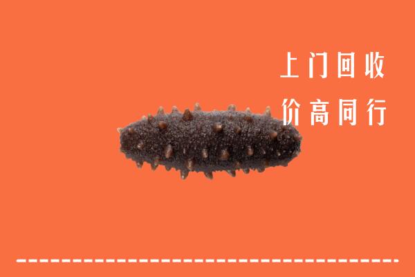 昌吉州奇台回收海参