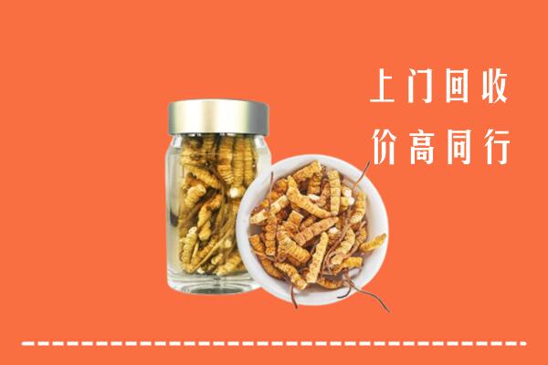 昌吉州奇台回收冬虫夏草