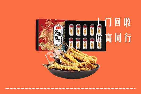 昌吉州奇台回收虫草